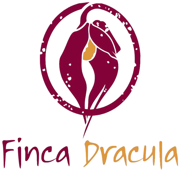 Featured image for “Finca Dracula”